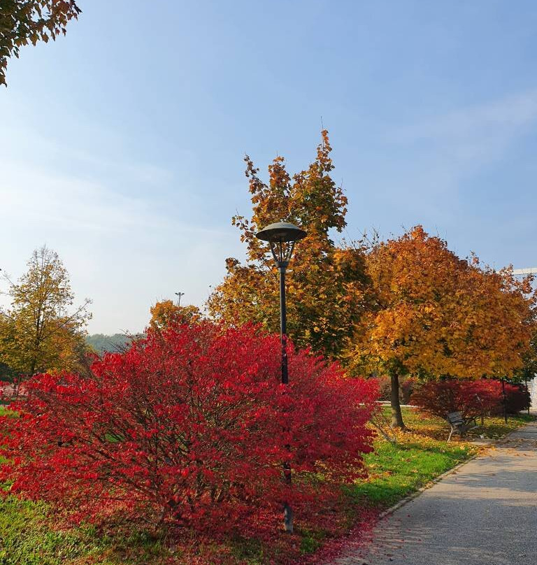 Parco San Giuliano-麦斯特必去景点