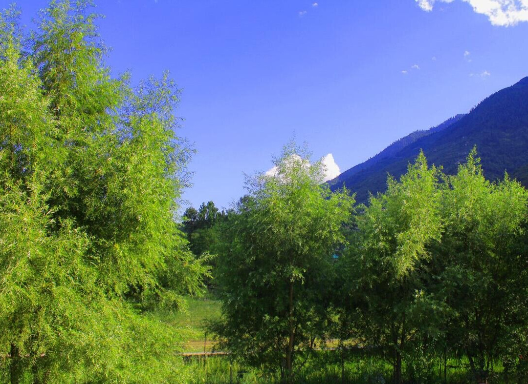 Raison Meadows Lodge主图