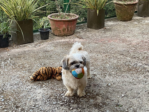 翡翠径酒店主图