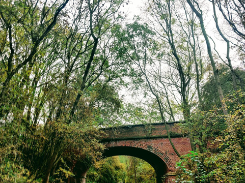 Wynyard Woodland Park-斯托克顿提斯必去景点