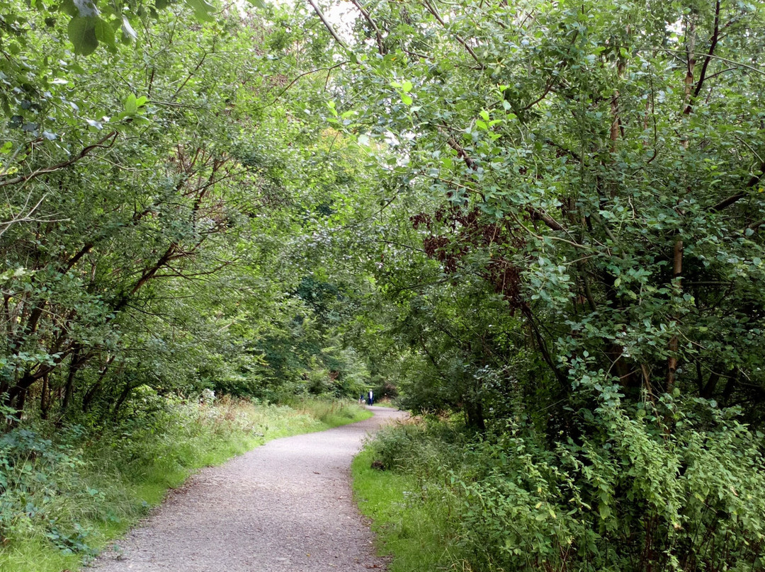 Savernake Forest-马尔堡必去景点