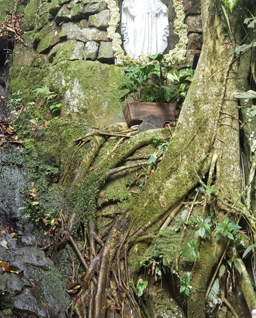 Gruta Nossa Senhora Imaculada Conceição-Luiz Alves必去景点