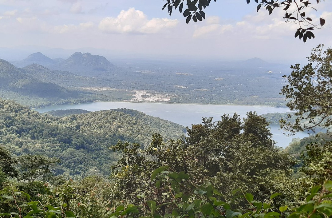 Nelliyampathy Hills-Palakkad必去景点