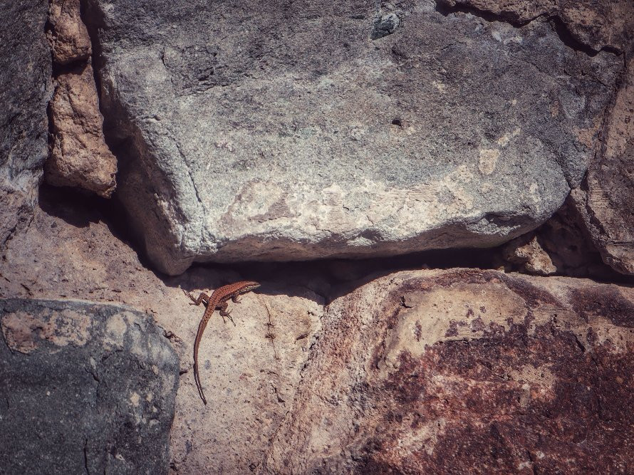 Lago di Madrano-Pergine Valsugana必去景点