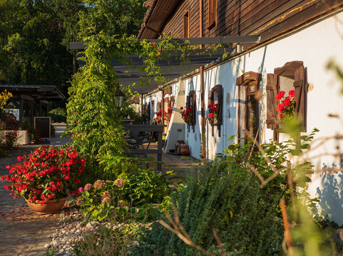 Lipinki Luzyckie旅游攻略图片