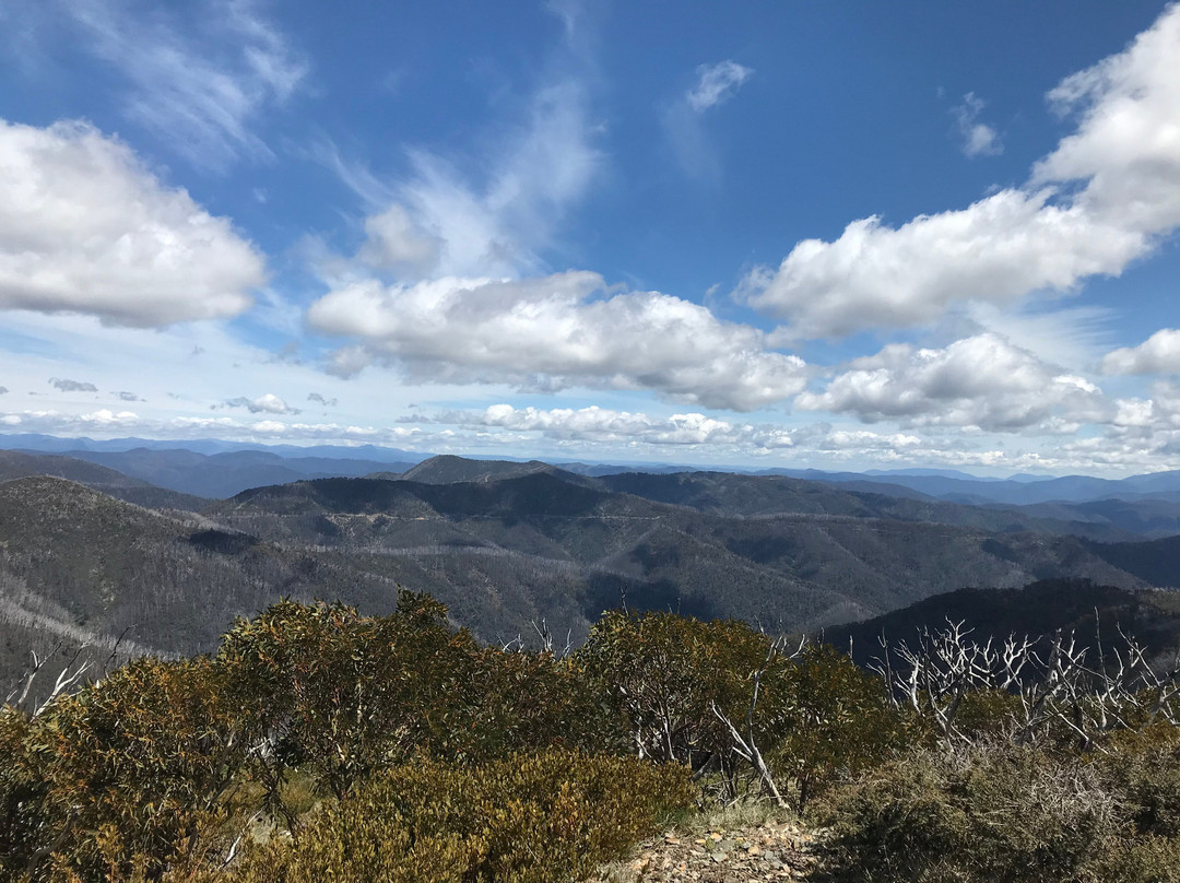 Blowhard Hut-Hotham Heights必去景点