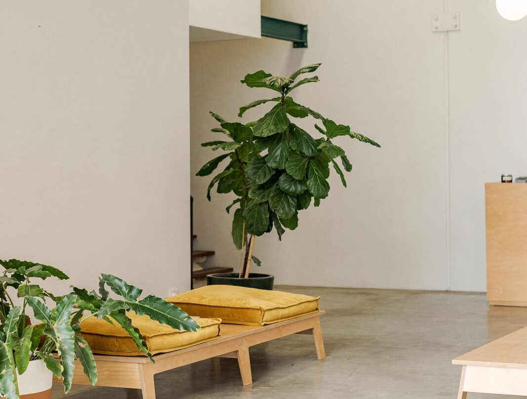 Nimbus & Co.-拜伦湾必去景点