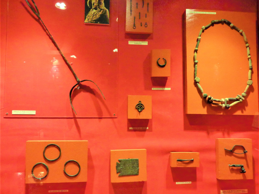 Museo de Molina景点图片