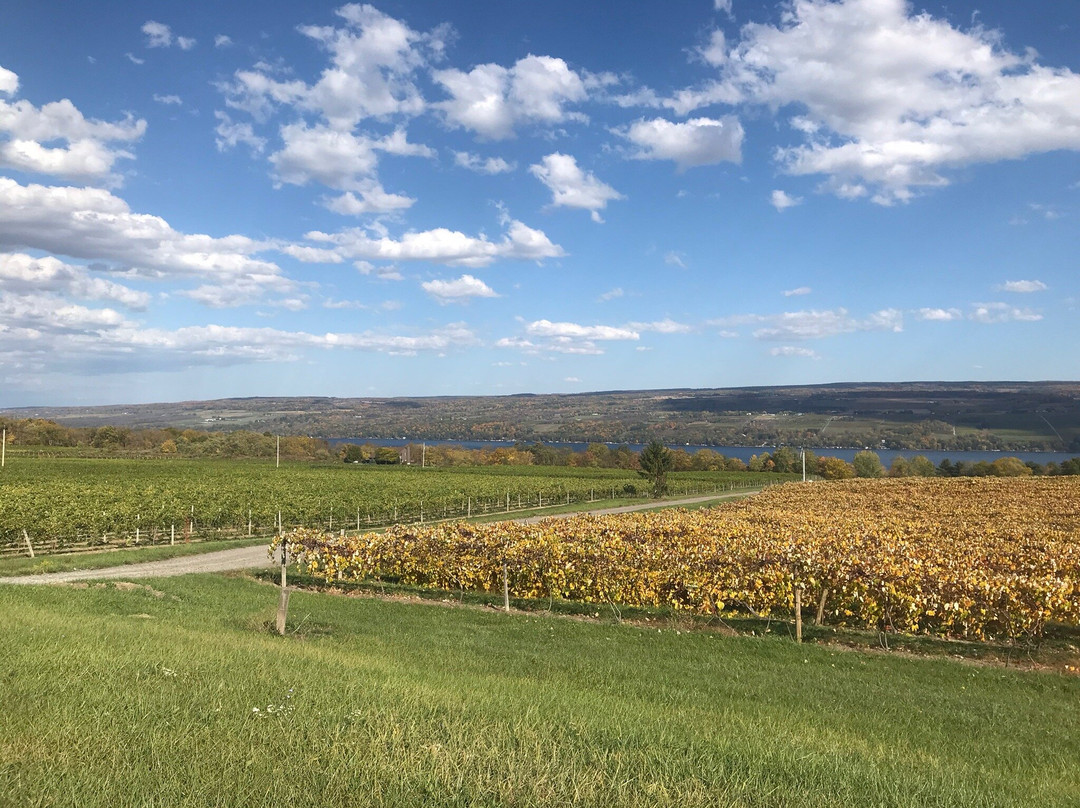 Anthony Road Wine Company-Penn Yan必去景点