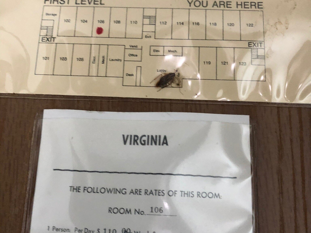 Super 8 by Wyndham Front Royal主图