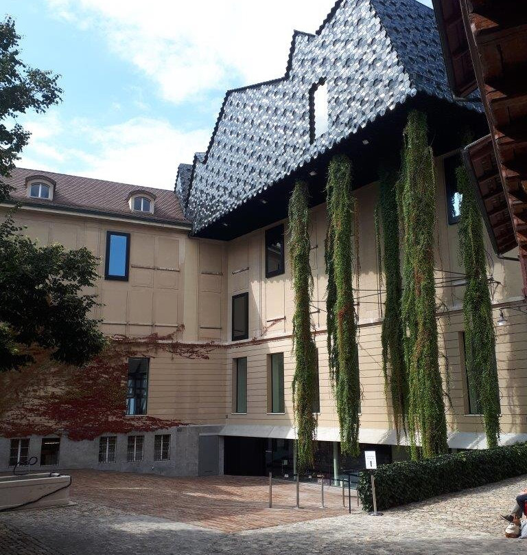 Museum der Kulturen Basel景点图片