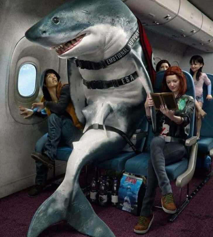 Narcosis Scuba Center-塔彭斯普林斯必去景点