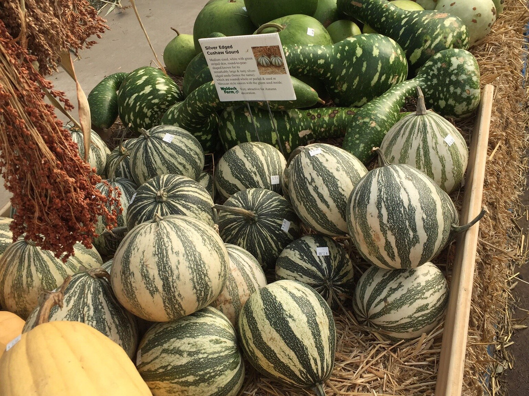 Waldoch Farm-Lino Lakes必去景点