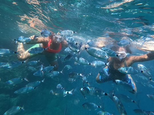 Kayak tours / Voga Voga-普拉必去景点