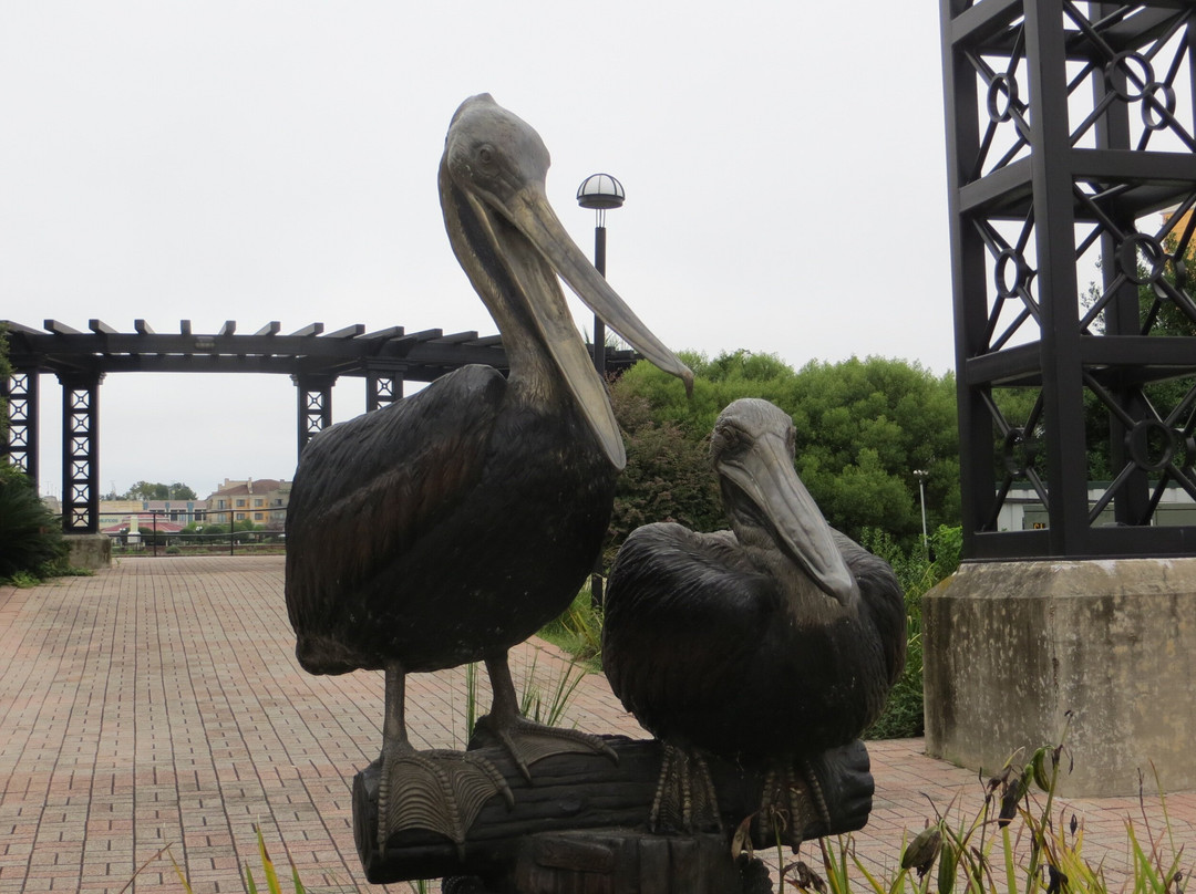 Riverview Park-什里夫波特必去景点