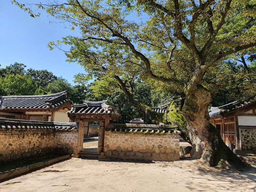 Yeongnyeongneung-骊州郡必去景点