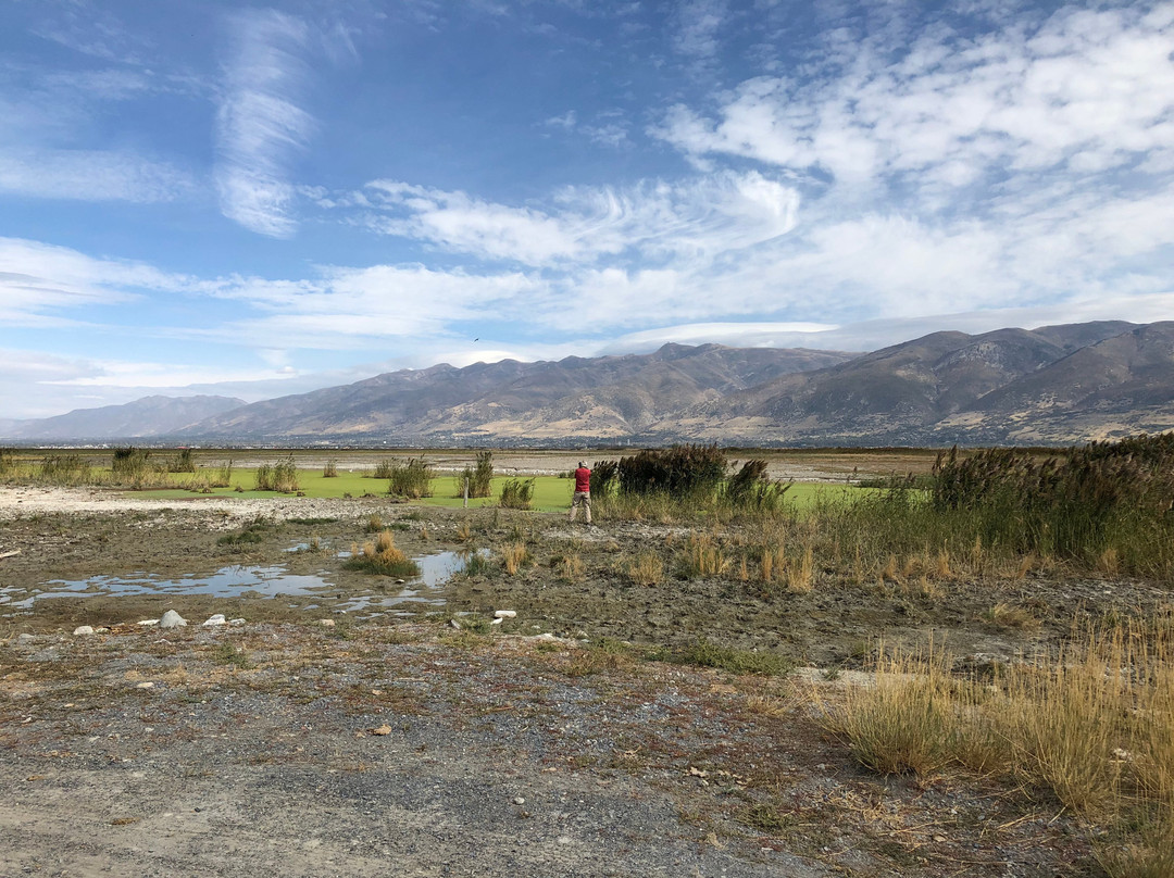 Farmington Bay Waterfowl Management Area景点图片