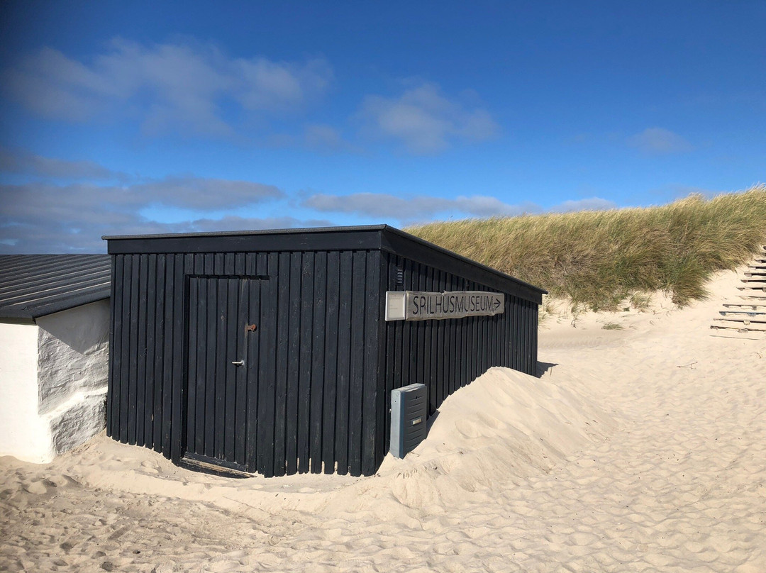 Stenbjerg Strand景点图片