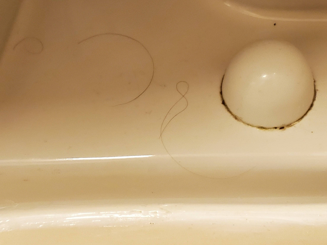 Courtyard by Marriott Charlotte Gastonia主图