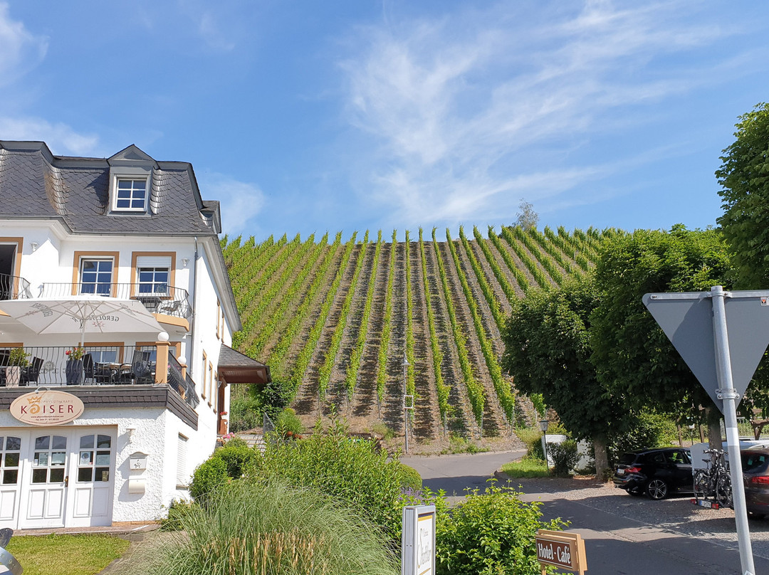 Weinhaus Stettler主图