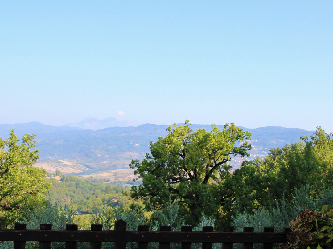 Agriturismo Fiore主图