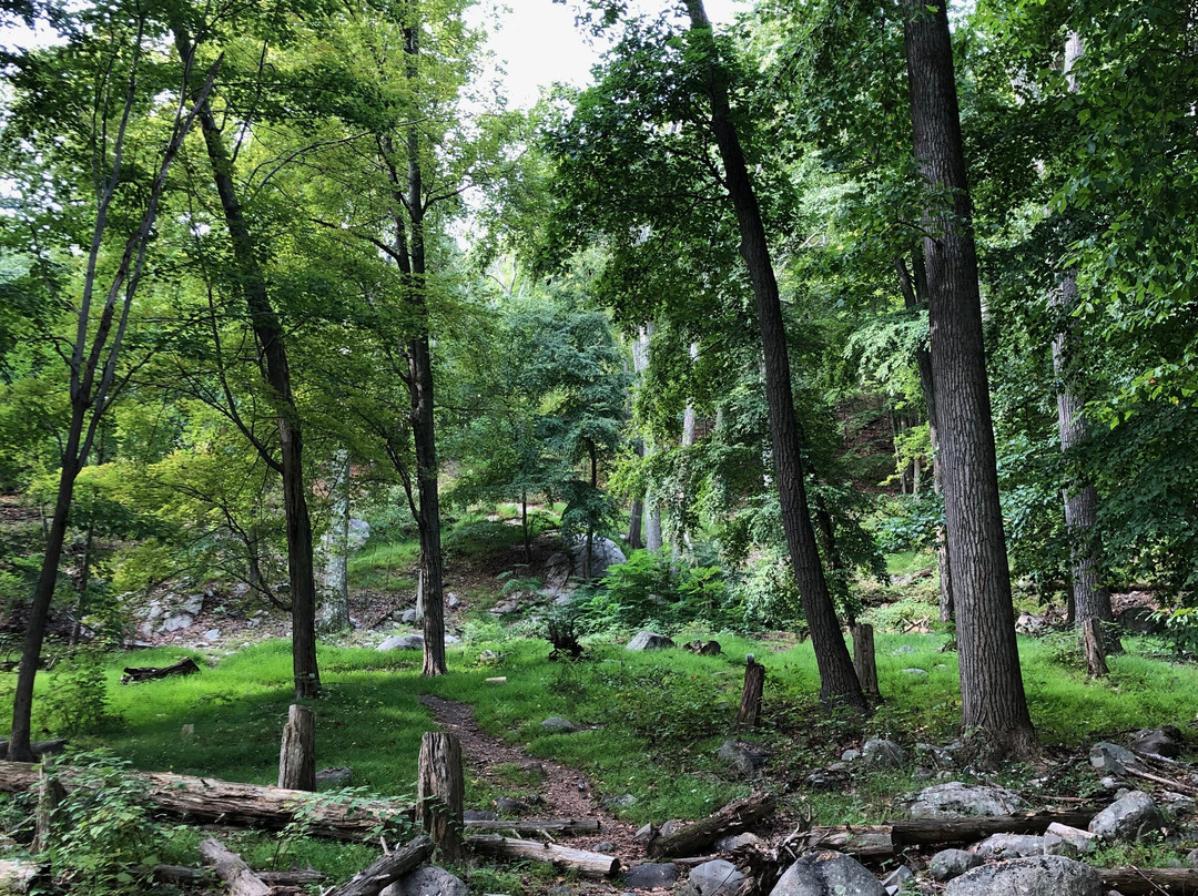 Bear Mountain Inn主图