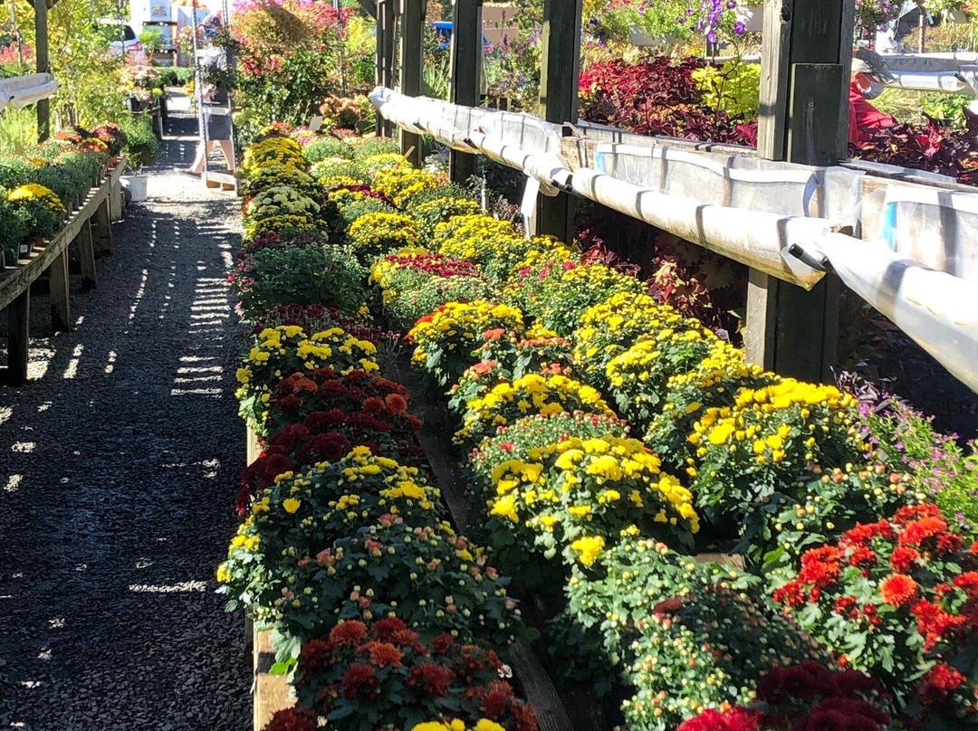 Nalls Farm Market景点图片