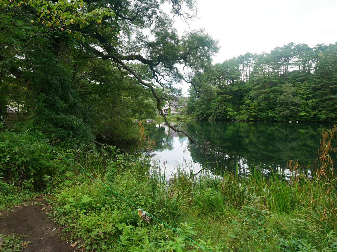 Yanagi Numa景点图片