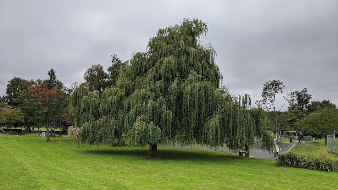 South Inch park-珀斯必去景点