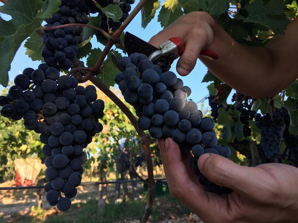 Strada Statale 222 Chiantigiana-锡耶纳必去景点