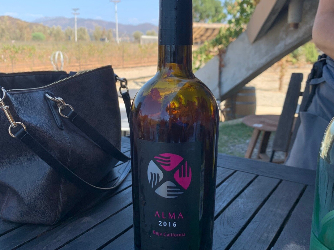 Alximia Vinicola景点图片