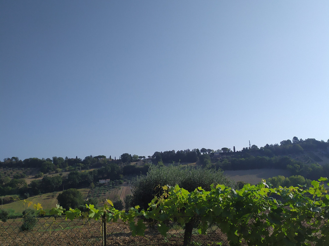 B&B Il Cavallino主图