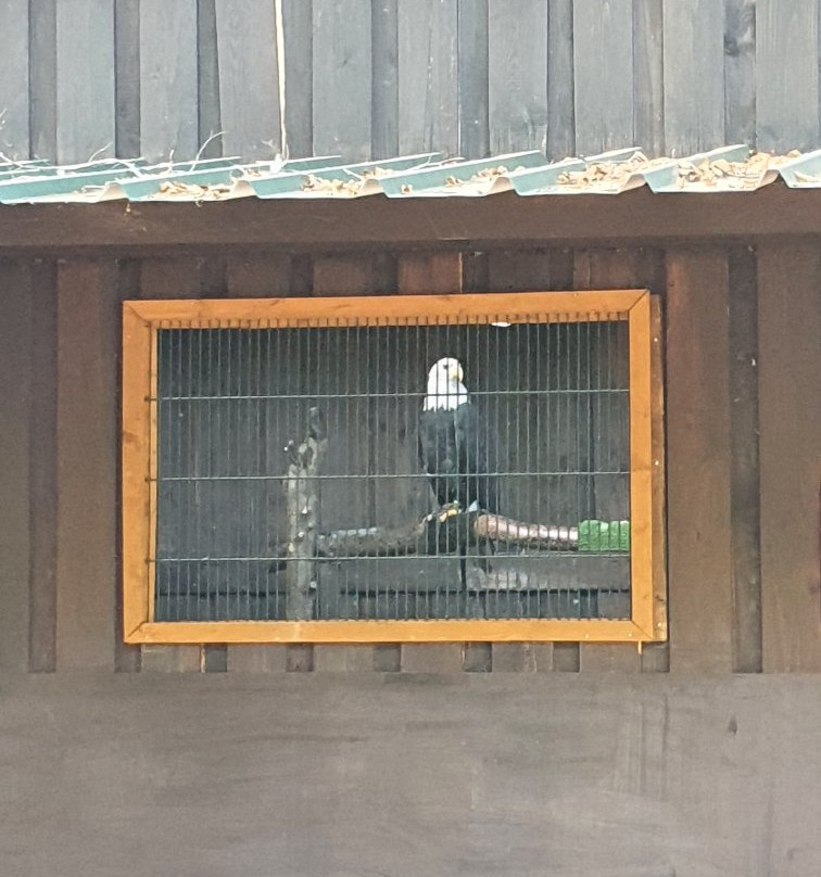 Zoo Kaiserslautern景点图片
