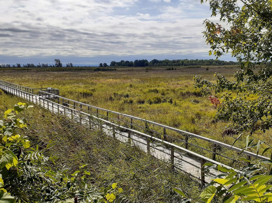 Cooper Marsh Conservation Area-Lancaster必去景点