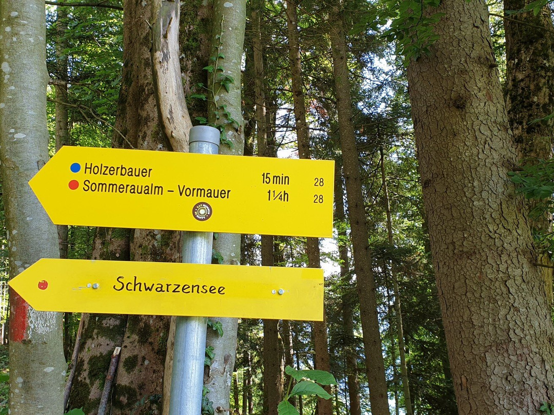 Schwarzensee-Strobl必去景点