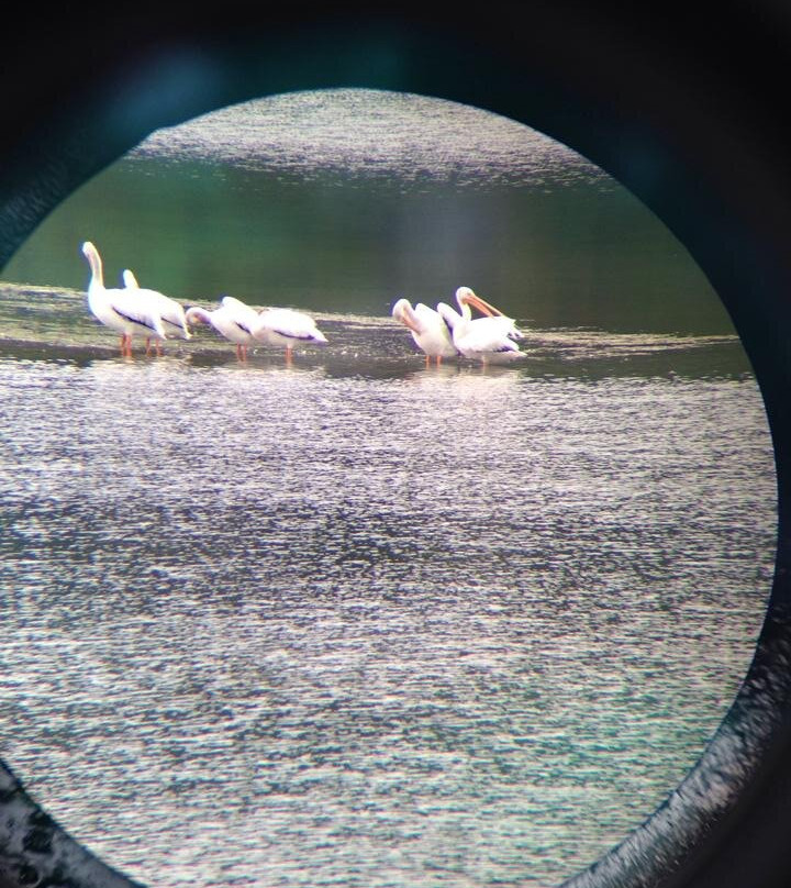 Oxbow Bend-莫兰必去景点