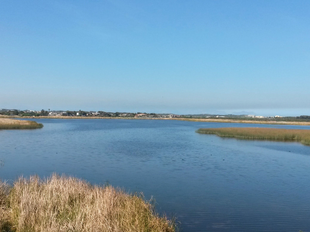Rondevlei Nature Reserve-开普敦中心区必去景点