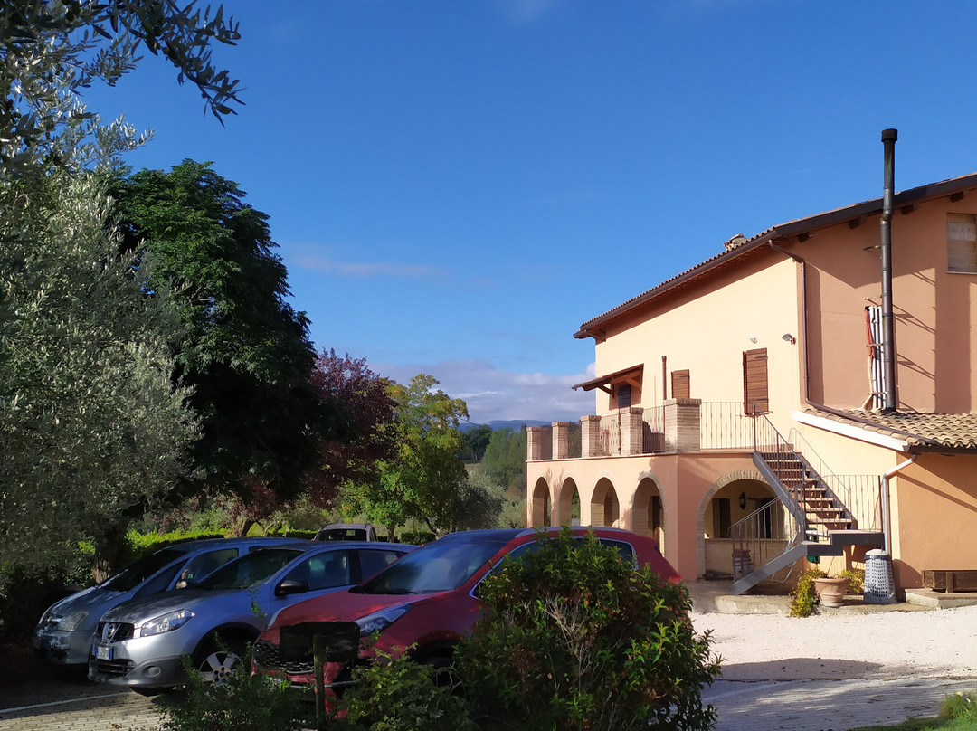 Agriturismo i Mille Ulivi主图