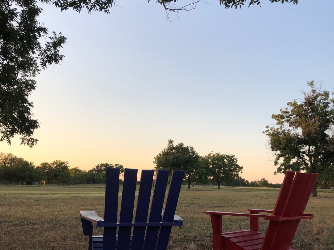 Kalasi Cellars-弗雷德里克斯堡必去景点