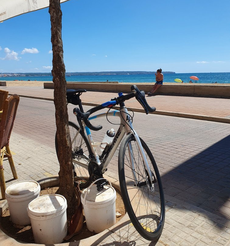 Cycling In Palma-马洛卡帕尔马必去景点