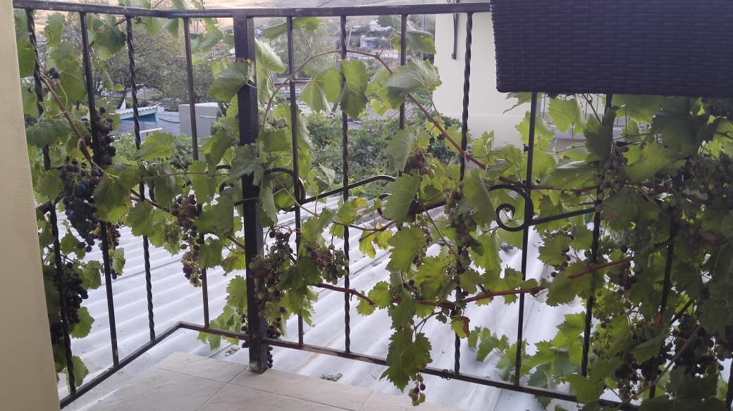 Luxury Spa Villa Elizabeth Star-官方