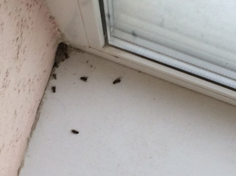 奥林普酒店主图