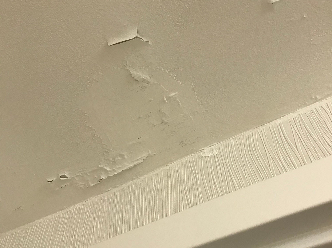 Hampton Inn & Suites Springfield Downtown主图