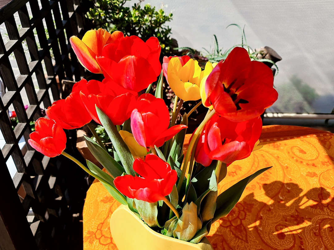 San Martino酒店住宿-La Corte sul Naviglio