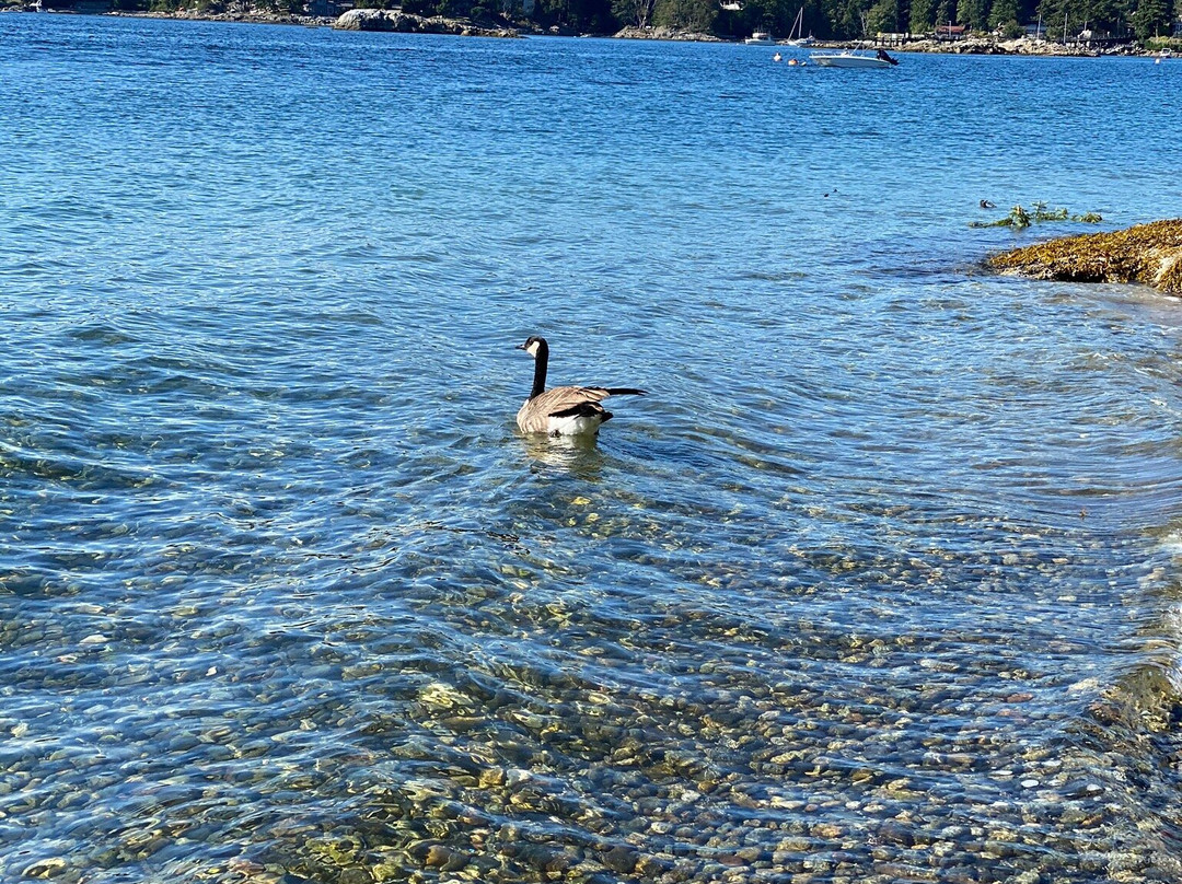 Coopers Green Regional Park-Halfmoon Bay必去景点