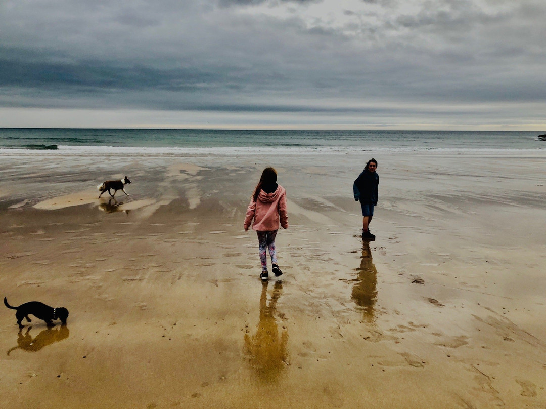 Coldingham Sands-Coldingham必去景点