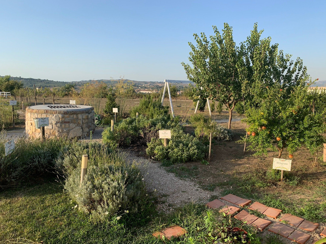 Masseria Fontana dei Fieri主图