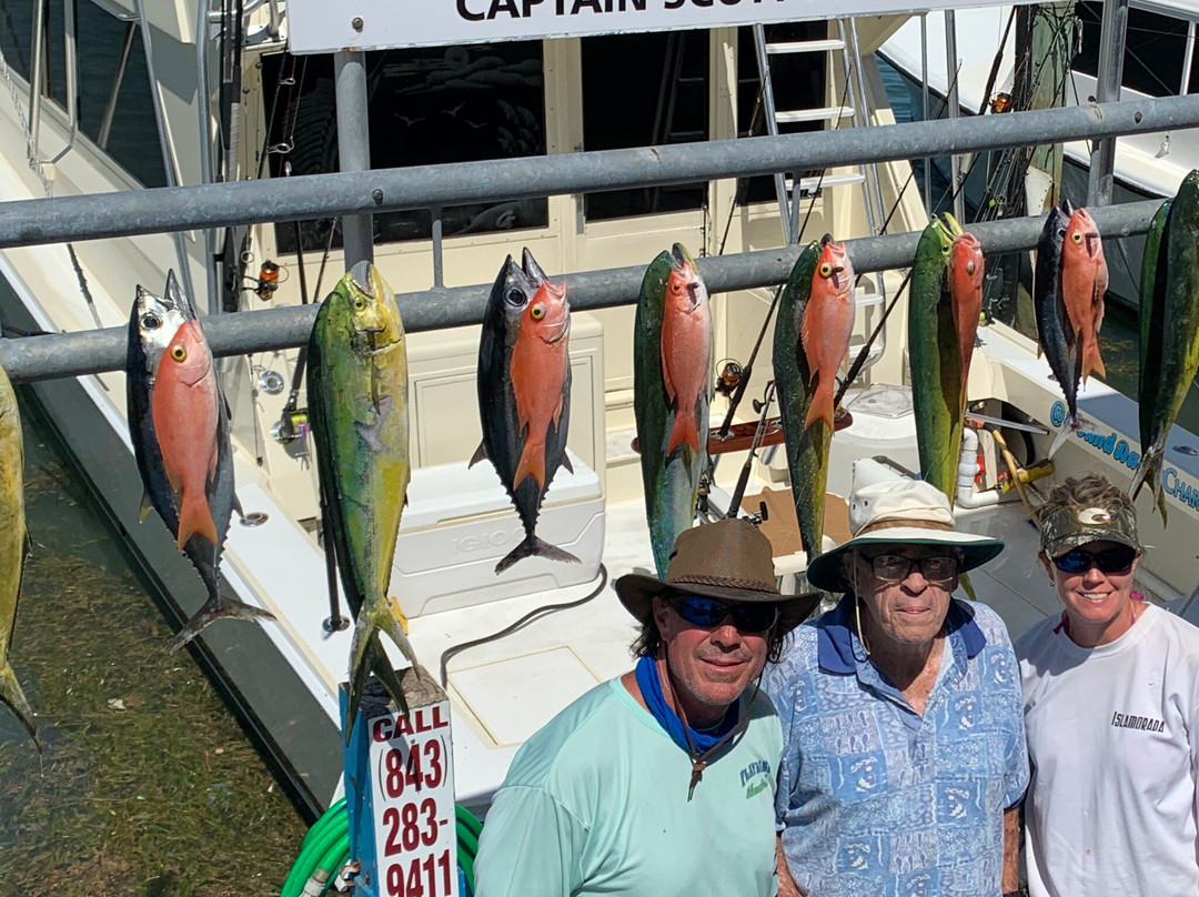 Whale Harbor Marina-伊斯拉摩拉达必去景点