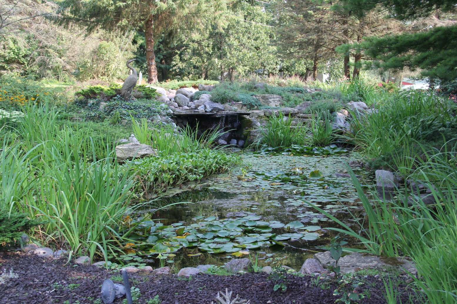 Cameo Rose Victorian Country Inn-浴室