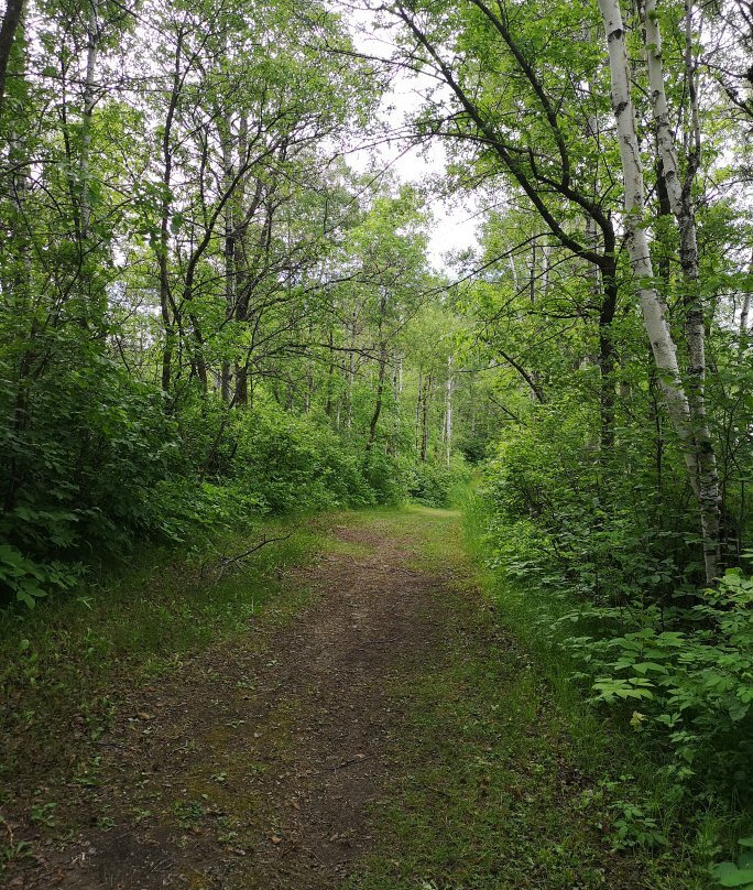 Turtle Mountain Provincial Park-波伊斯维因必去景点